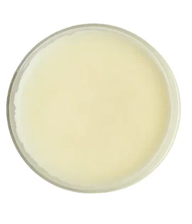 leatherwax leather protector and conditioner